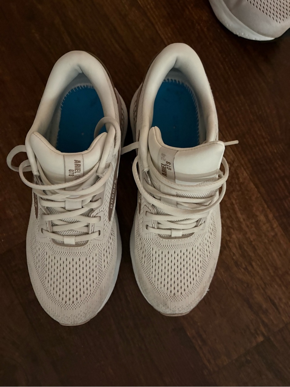 Brooks Ariel GTS 24